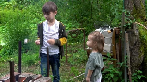 A couple of kids roasting marshmallows on the fire Stock Footage 247681664
