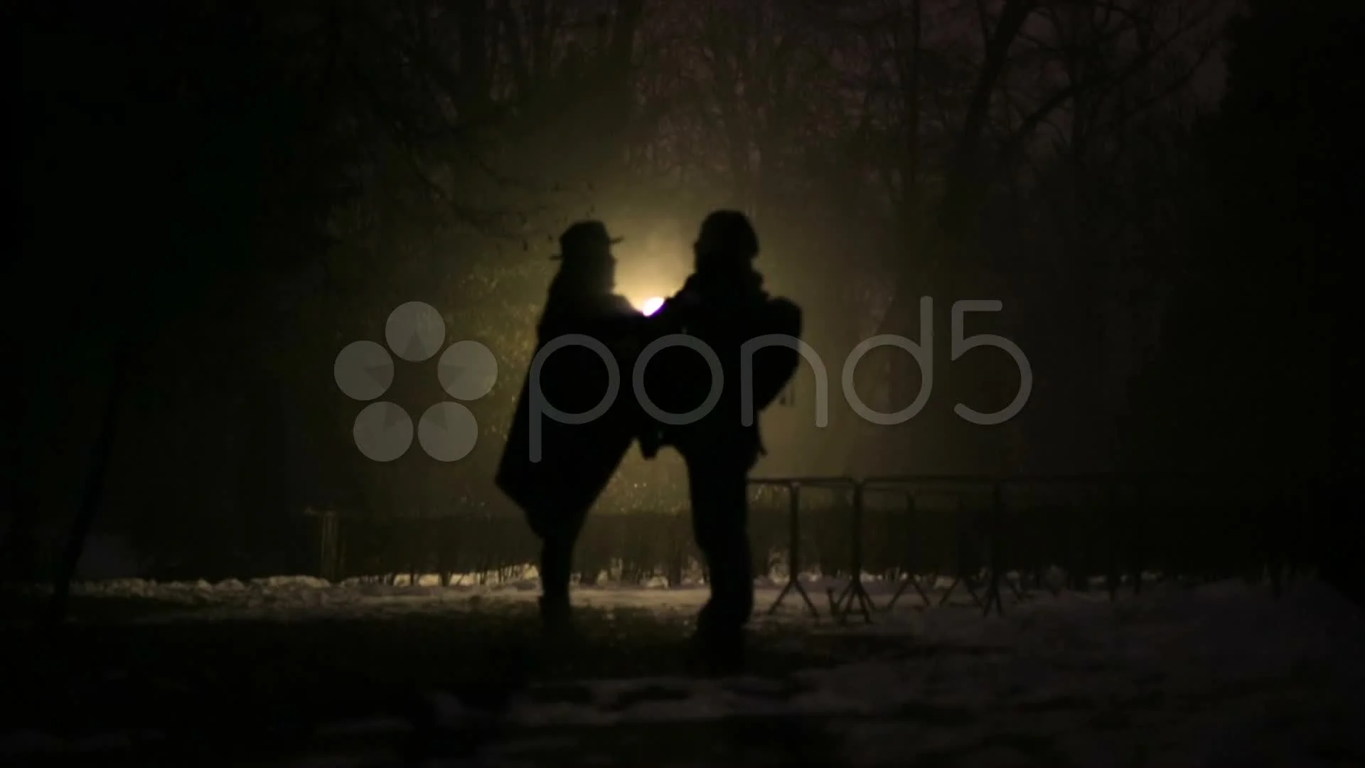 Couple kissing in the dark night