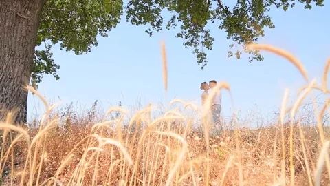 Couple kissing in the field Stock Footage 75192099