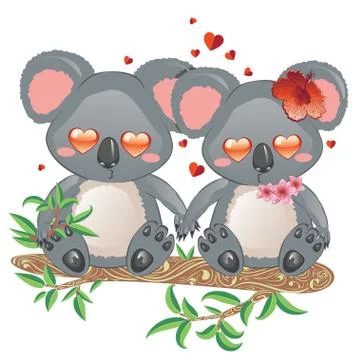 Couple of koala bears Stock Illustration