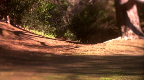 Couple with Labrador Outside Stock Footage 22693474