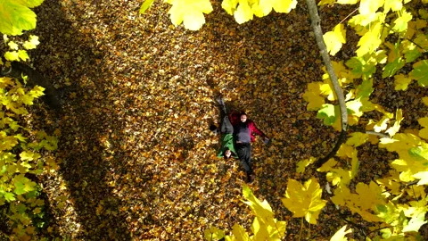 Couple laying down on the ground autumn season Stock Footage 200879188