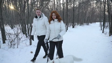 Couple with leashed dog in forest Stock Footage 87370475