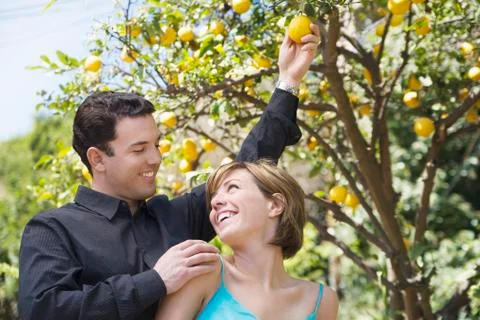 Couple with Lemon Tree Stock Photos