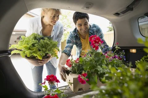 Couple loading flowers into back of car Stockfoto's
