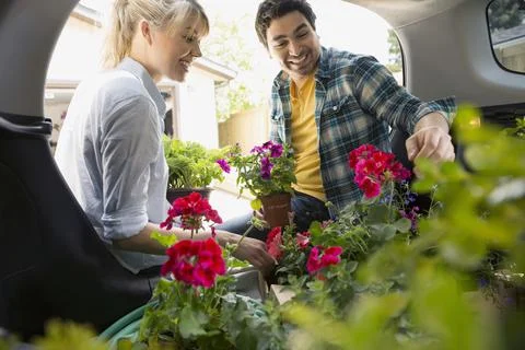 Couple loading flowers into back of car Stockfoto's
