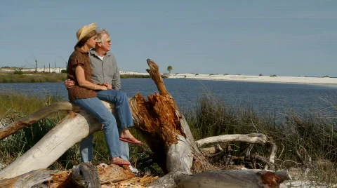 Couple On Log Stock Footage 723324