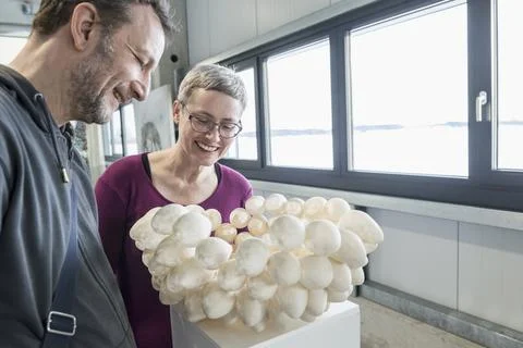 Couple looking at egg shell lampshade in an art museum, Bavaria, Germany Fotos Stock