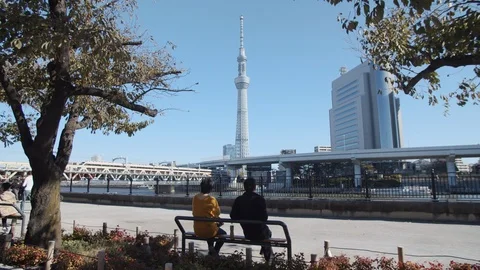 A couple looking at skytree in Tokyo track in Vídeo Stock 120314376