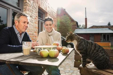 Couple looking at tabby cat while sitting in back yard Fotos Stock