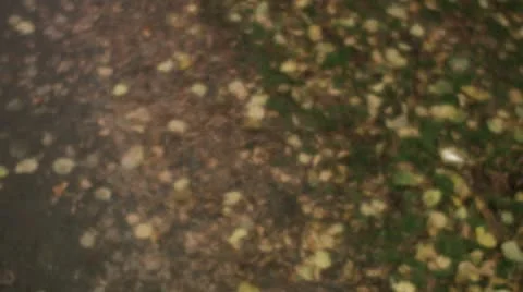 A couple in love Stock Footage 11289565