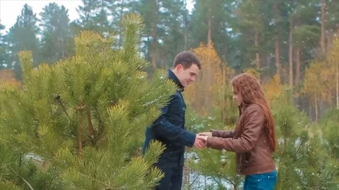 Couple in Love Holding Hands in Pine Forest Laughing and Enjoying Themselves Stock Footage 79966255