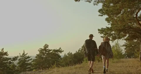A couple in love holding hands while hiking in the mountains. Rear view. Stock Footage 264488401