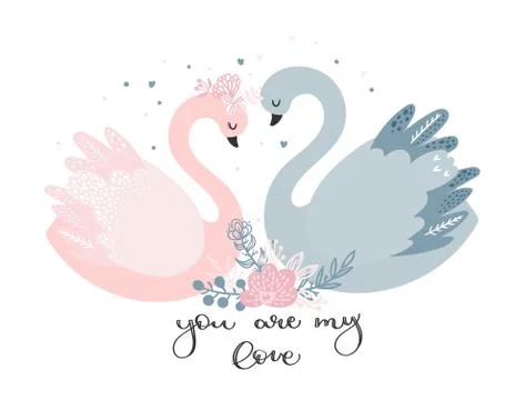 A couple of lovers ' swans. Stock Illustration