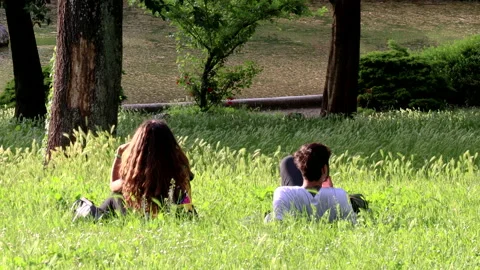 Couple lying in the grass of the public park. Stock Footage 130273832