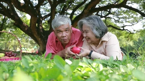Couple lying on a mat on the grass holding a cute heart, happy looking at the ca Stock Footage 167780142
