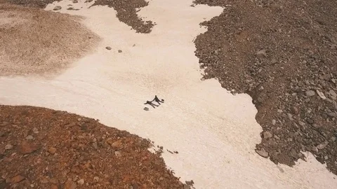 Couple lying in the snow,shooting with the drone Stock Footage 76548531
