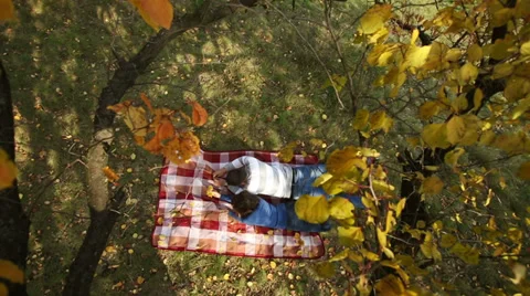 Couple Lying Under Autumn Tree 3 Video stock 33817444
