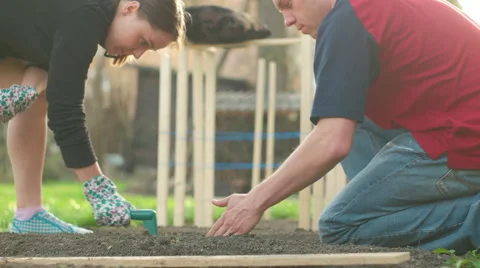 Couple Making Rows for Seeds Stock Footage 62404144