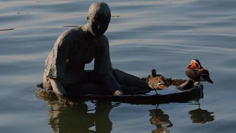 A couple of mandarin ducks resting next to a sculpture at Hangzhou's West Lake Stock Footage 293935803