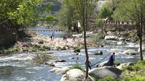 Couple of men working on cleaning the riverbed of vegetation Stock Footage 49059154