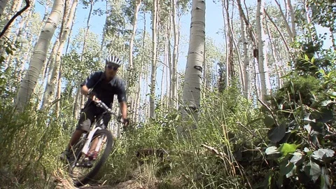 Couple mountain biking on single-track forested trail, Park City, Utah. Video stock 99119232