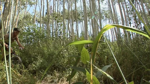 Couple mountain biking on single-track forested trail, Park City, Utah. Stock Footage 99119705