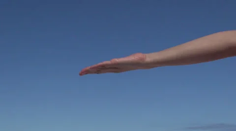 Couple multiple greeting hands Stock Footage 24240435