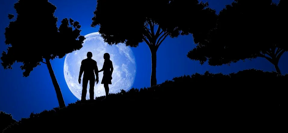 Couple in night Stock Illustration