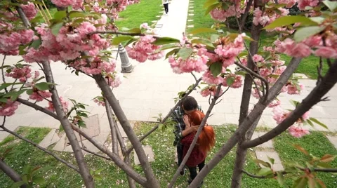 A couple outdoors under the tree Stock-Footage 63216168
