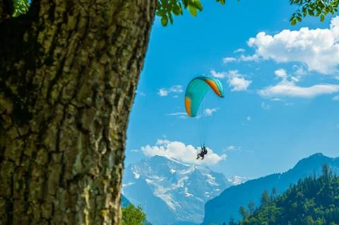 Couple Paragliding in front Of Snow Capped Jungfraujoch Mountain in a Sunny Day Fotos Stock