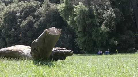 A couple at park Stock Footage 11231883