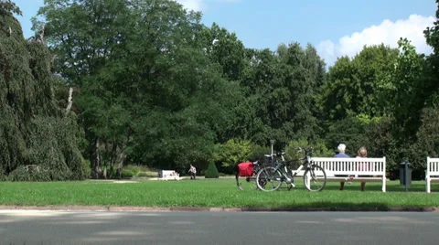 Couple in the Park Stock Footage 27865433