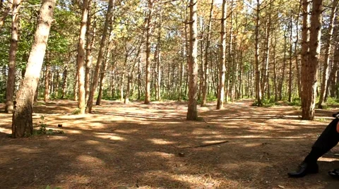 Couple In The Park Video stock 52697581