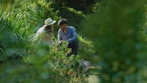Couple in a park Stock Footage 99964571