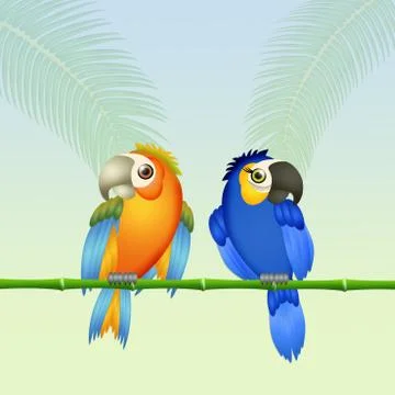 Couple of parrots Stock Illustration