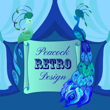 Couple peacocks. Scroll card with text. Blue and green design. Stock Illustration