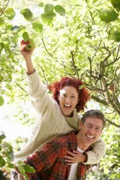 Couple picking apples off tree Stock Photos