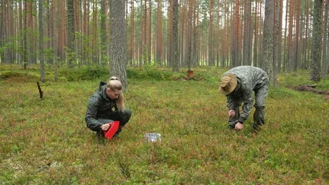 Couple is picking berries in the forest Stock-Footage 318716109