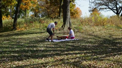 Couple on a Picnic Video stock 8828240