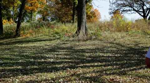 Couple on a Picnic Video stock 8828630