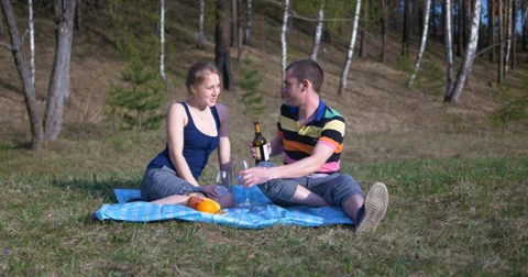 Couple at picnic Stock Footage 38847632