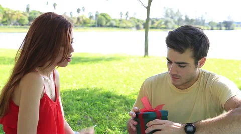 Couple at picnic Stock Footage 46871650