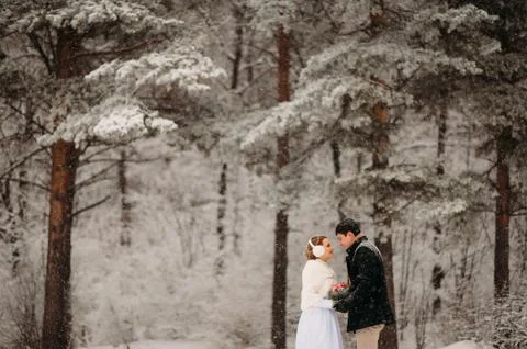 Couple in a pine forest Stock Photos