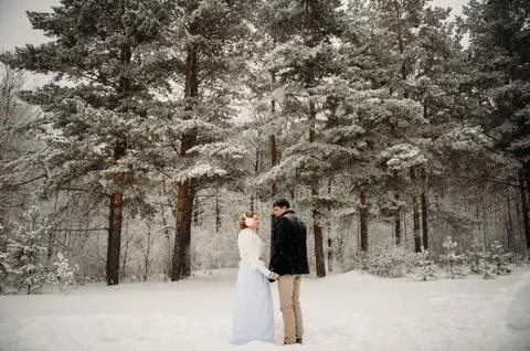 Couple in a pine forest 库存照片