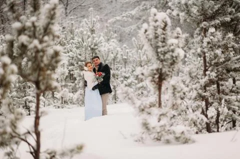 Couple in a pine forest 库存照片