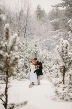 Couple in a pine forest Stock Photos