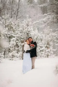 Couple in a pine forest 库存照片