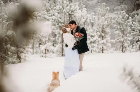 Couple in a pine forest Foto stock