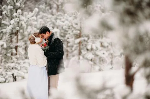 Couple in a pine forest 库存照片